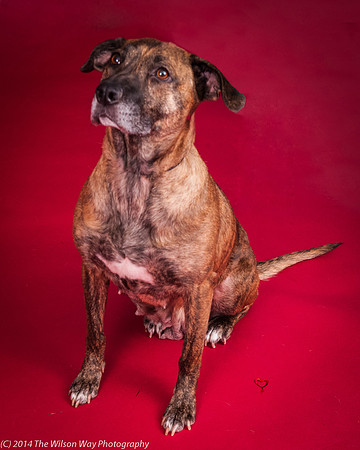 Coco-5983