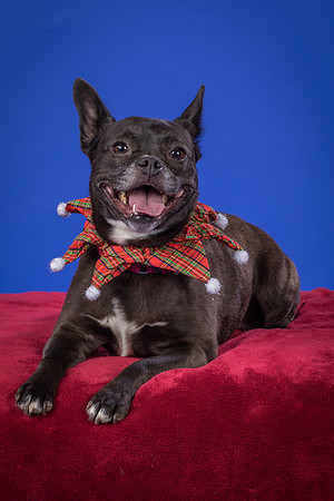 Slattery-Bella-0093