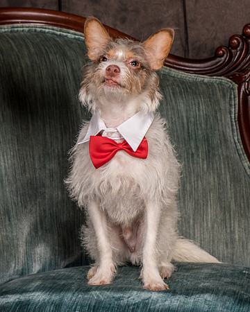 Foster Reagan-4913