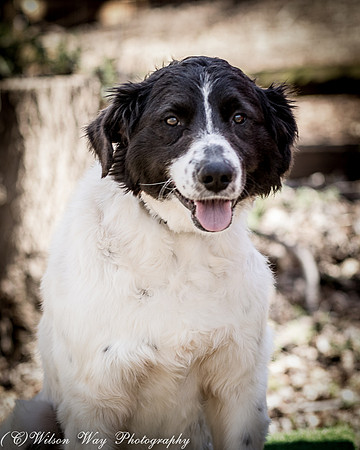 Foster Duncan-4923