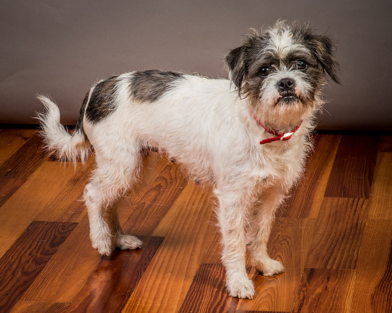 Foster Leeza-2811
