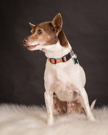Foster Gus-0317