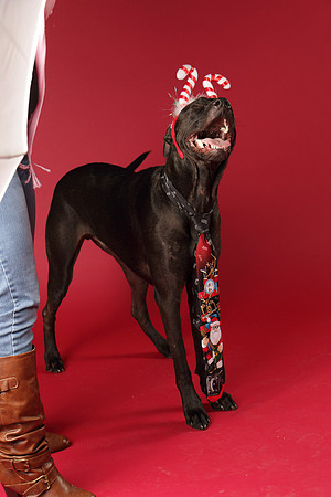 Calendar Bloopers-8191