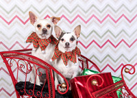 2015Nov15_1885