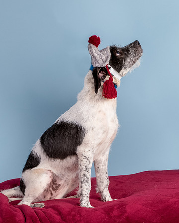 Foster Billie-8235