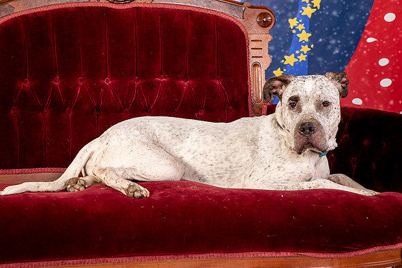 Foster Sylvester-0952