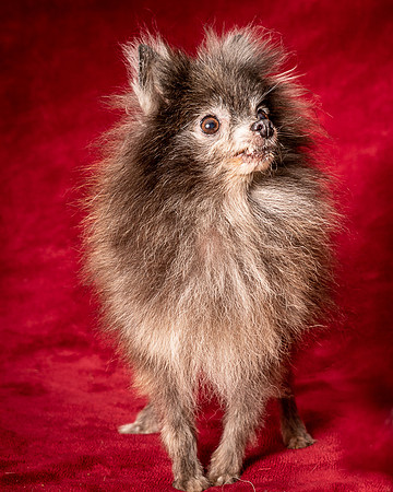 Foster Loretta-1354