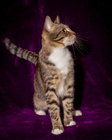 Foster Danni-9538