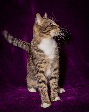 Foster Danni-9538