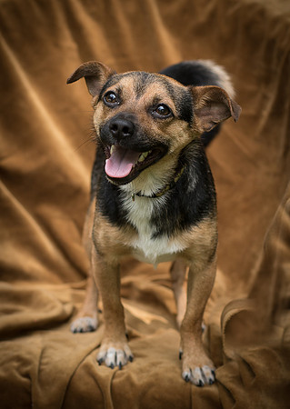 Foster Calvin-0844