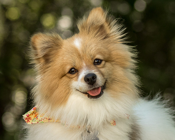 Foster Sydney-7647