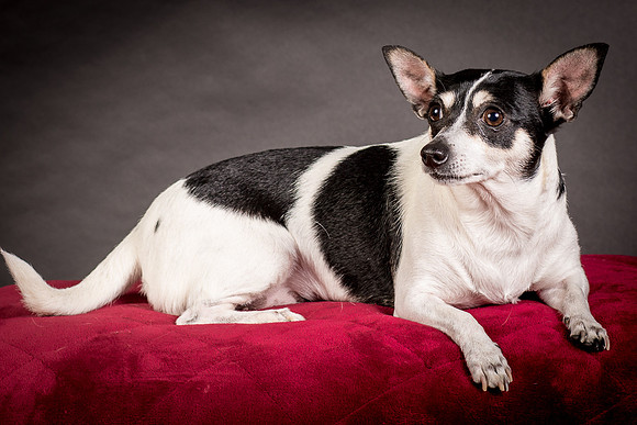 Foster Richa-0516