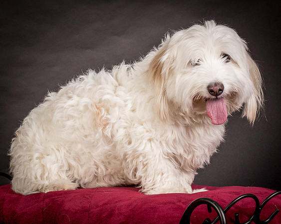 Foster Frosty-0571