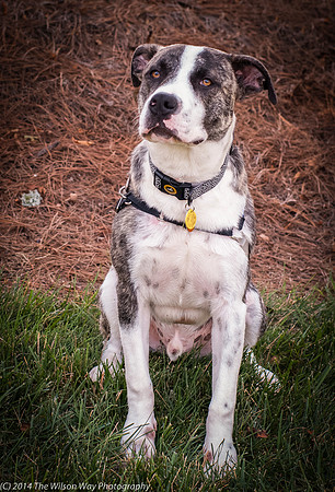 Foster Louie-9679