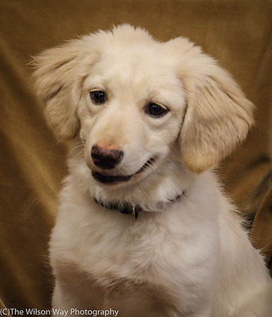 Foster Stephanie-0430
