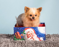 Foster Horace-0872