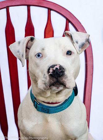 Foster Curt-9211