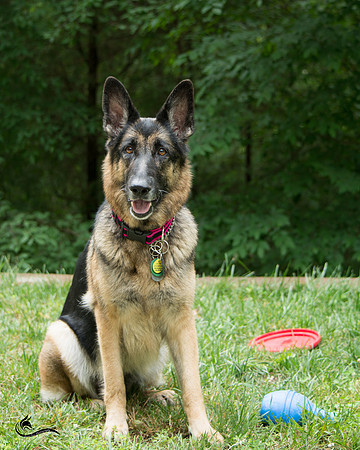 gretchen 3-9052