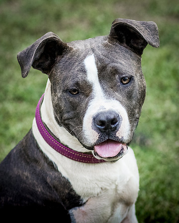 Foster Maya-0240