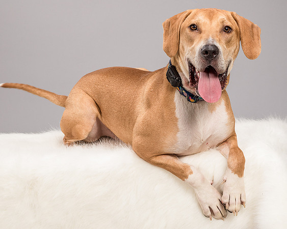 Foster Troy-6303