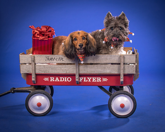 Sauls-Brodie and Baxter-5594
