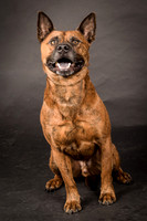Foster Beans-2218
