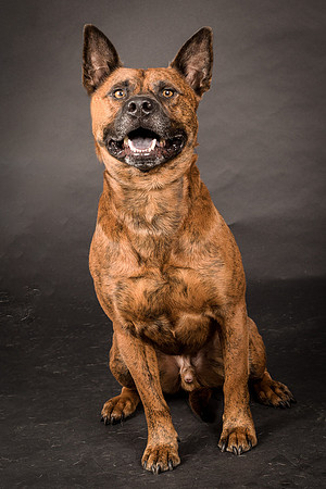 Foster Beans-2218