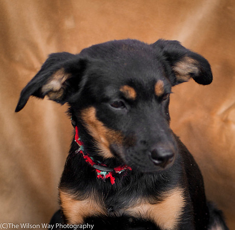 Foster Holister-9694