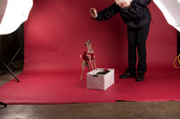 Calendar Bloopers-9146