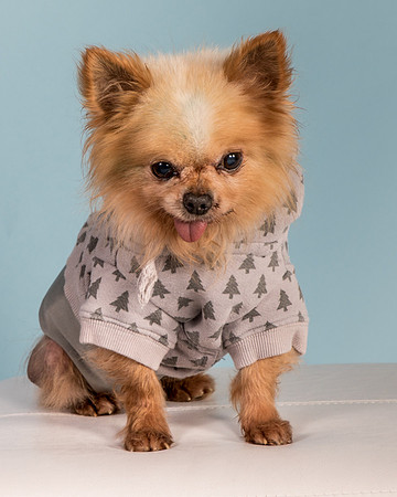 Foster Horace-0916