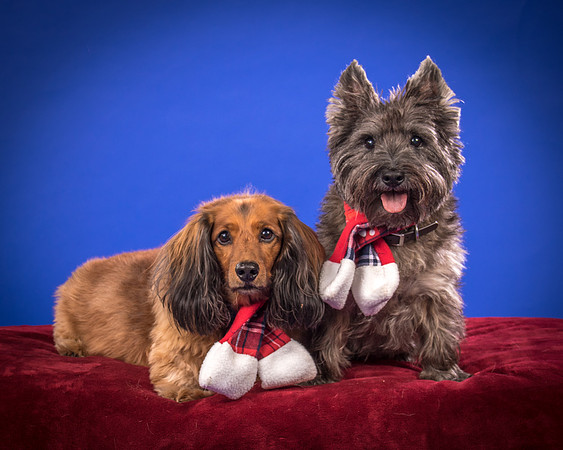 Sauls-Brodie and Baxter-5517