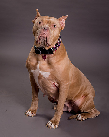 Maggie Griner-7561