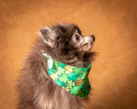 Foster Loretta-1236