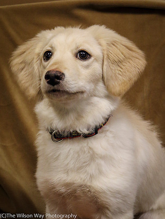 Foster Stephanie-0366