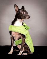 Foster Luc-9722
