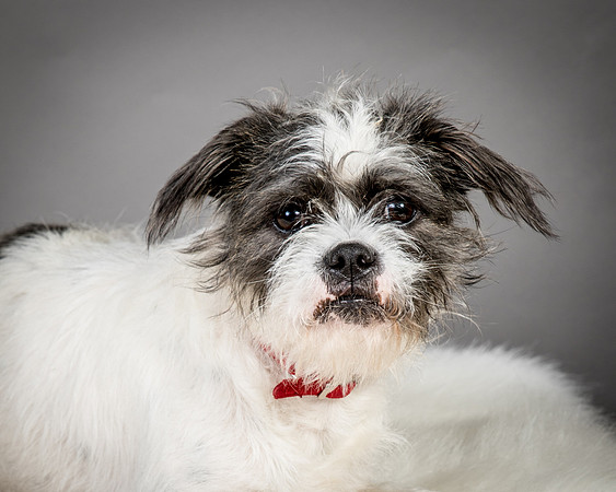 Foster Leeza-2575