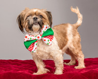 Foster Toffee-4605