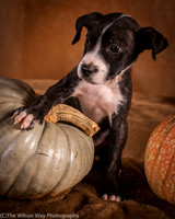 Foster Bennett-6333