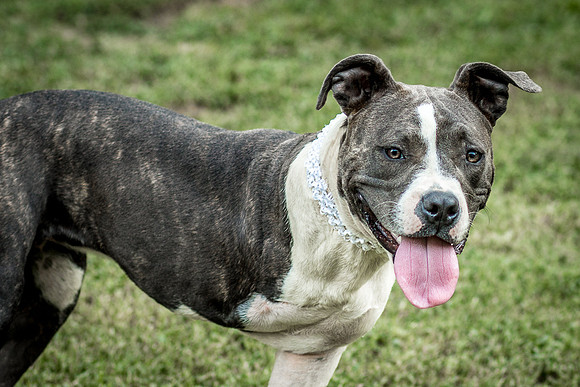 Foster Maya-0358