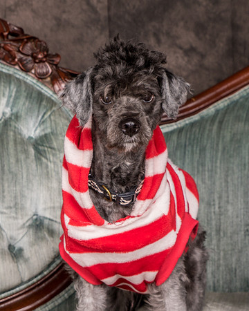 Foster Oakland-5542