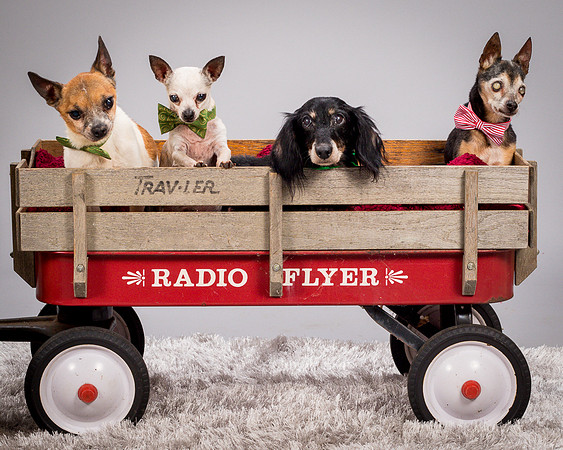 Foster Hospice Gang-3888