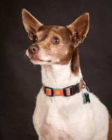 Foster Gus-0311