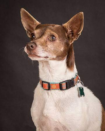 Foster Gus-0311