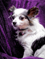 Foster Anouk-8744