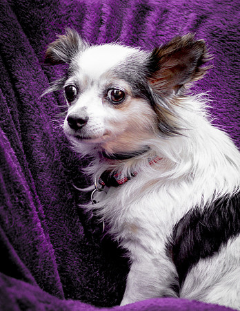Foster Anouk-8744