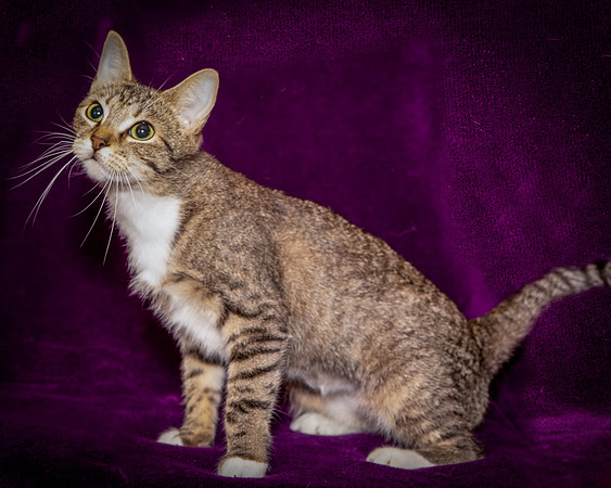 Foster Danni-9536