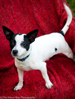 Foster Alfred-3708