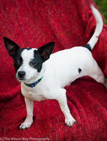 Foster Alfred-3708