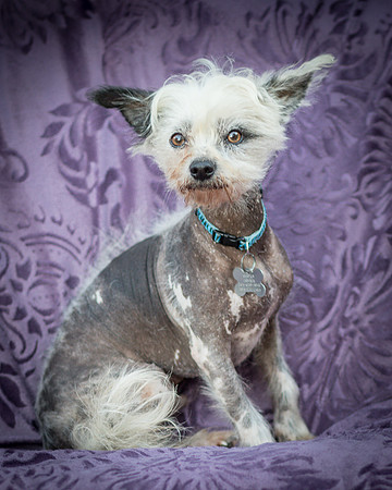 Foster Freckles-5403