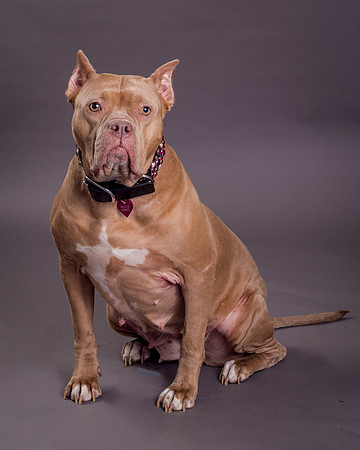 Maggie Griner-7550